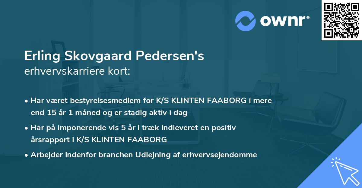 Erling Skovgaard Pedersen's erhvervskarriere kort