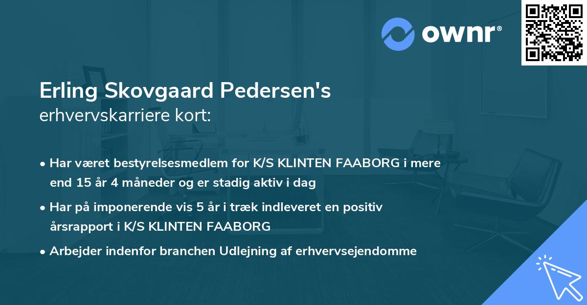 Erling Skovgaard Pedersen's erhvervskarriere kort