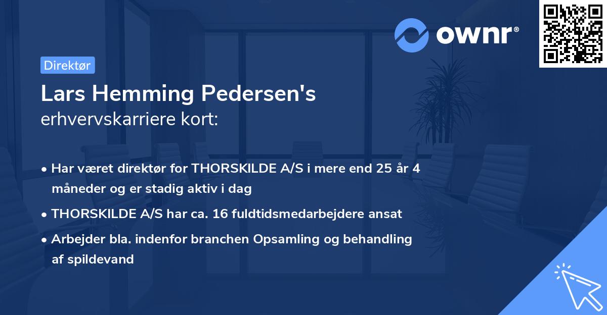 Lars Hemming Pedersen's erhvervskarriere kort