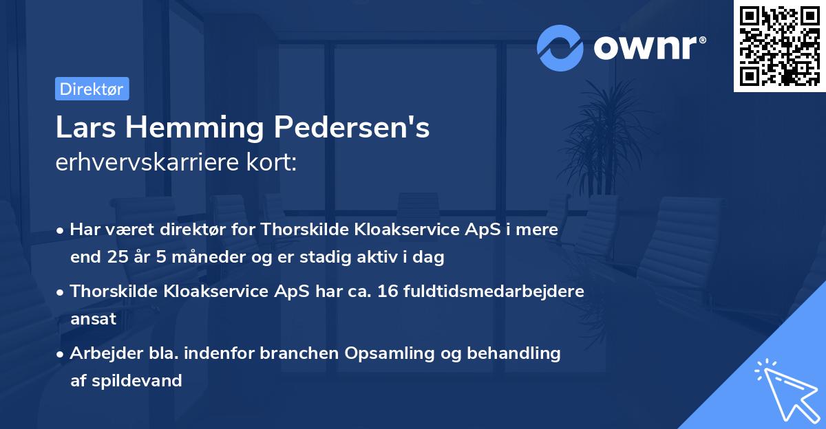 Lars Hemming Pedersen's erhvervskarriere kort