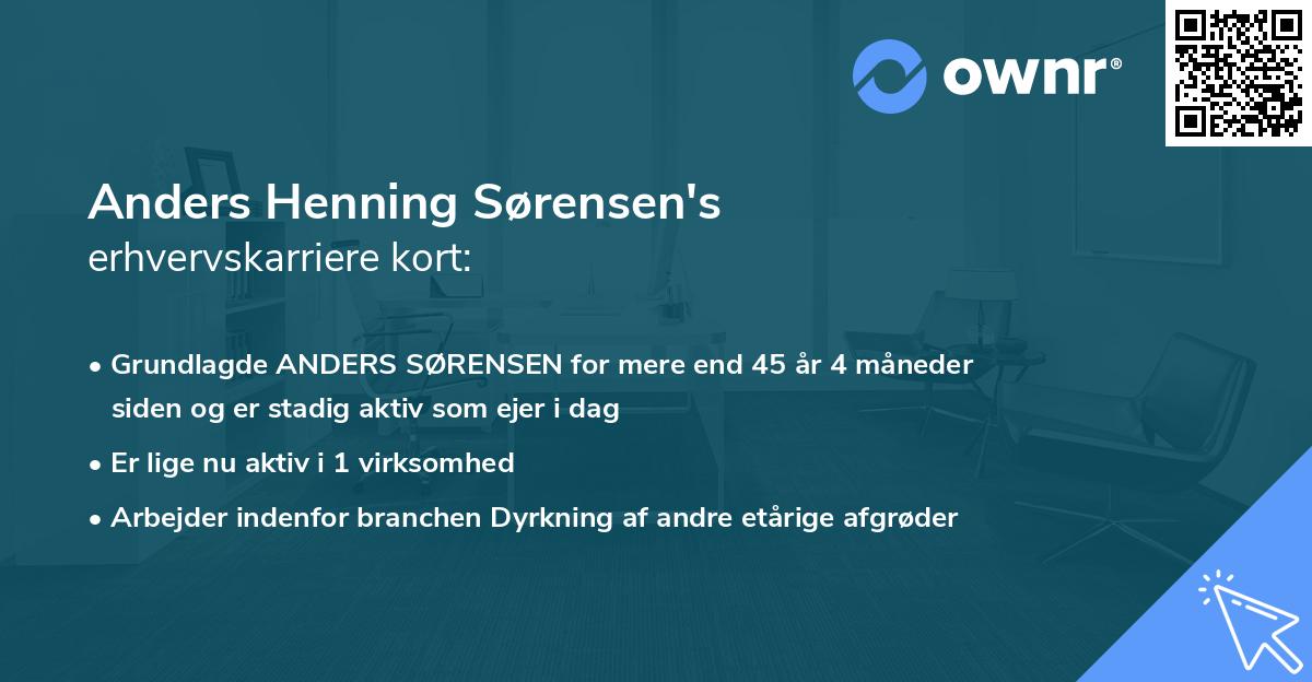 Anders Henning Sørensen's erhvervskarriere kort