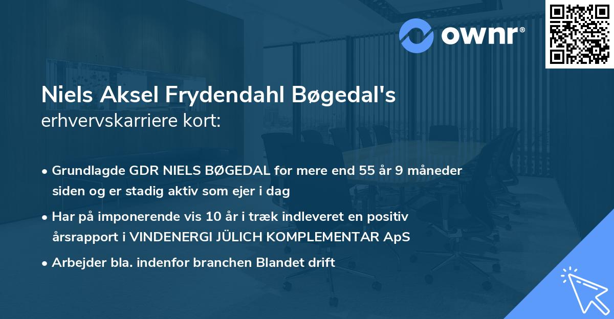 Niels Aksel Frydendahl Bøgedal's erhvervskarriere kort