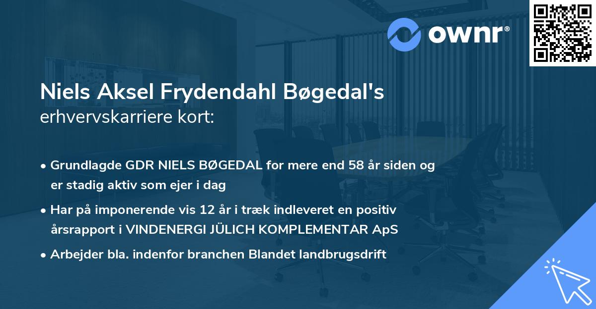 Niels Aksel Frydendahl Bøgedal's erhvervskarriere kort