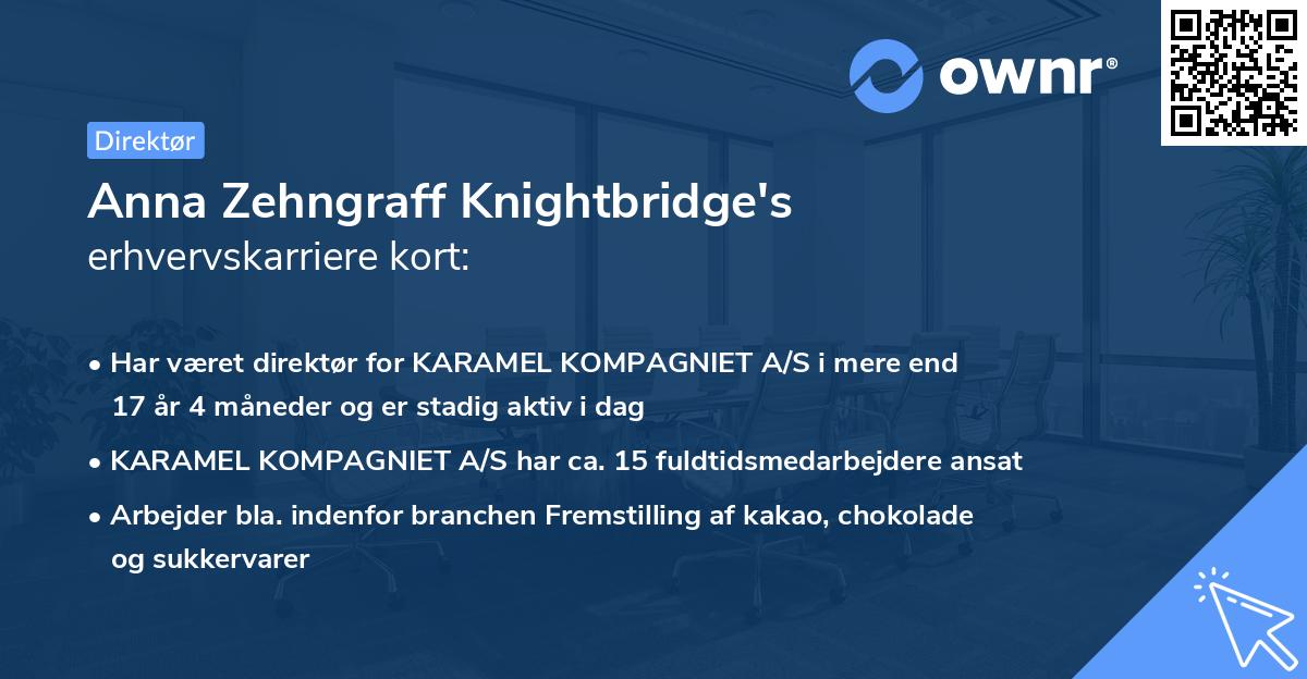 Anna Zehngraff Knightbridge's erhvervskarriere kort