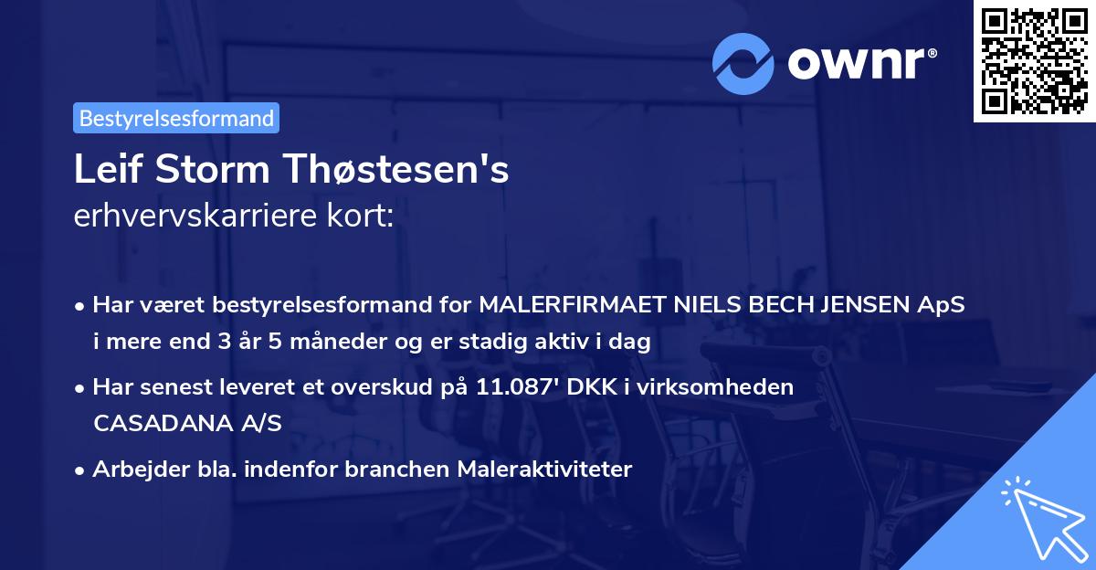 Leif Storm Thøstesen's erhvervskarriere kort