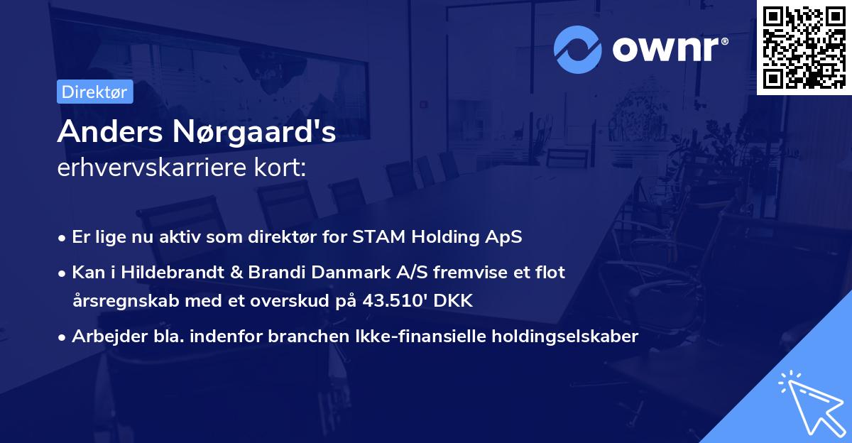 Anders Nørgaard's erhvervskarriere kort