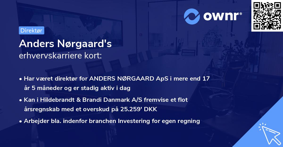 Anders Nørgaard's erhvervskarriere kort