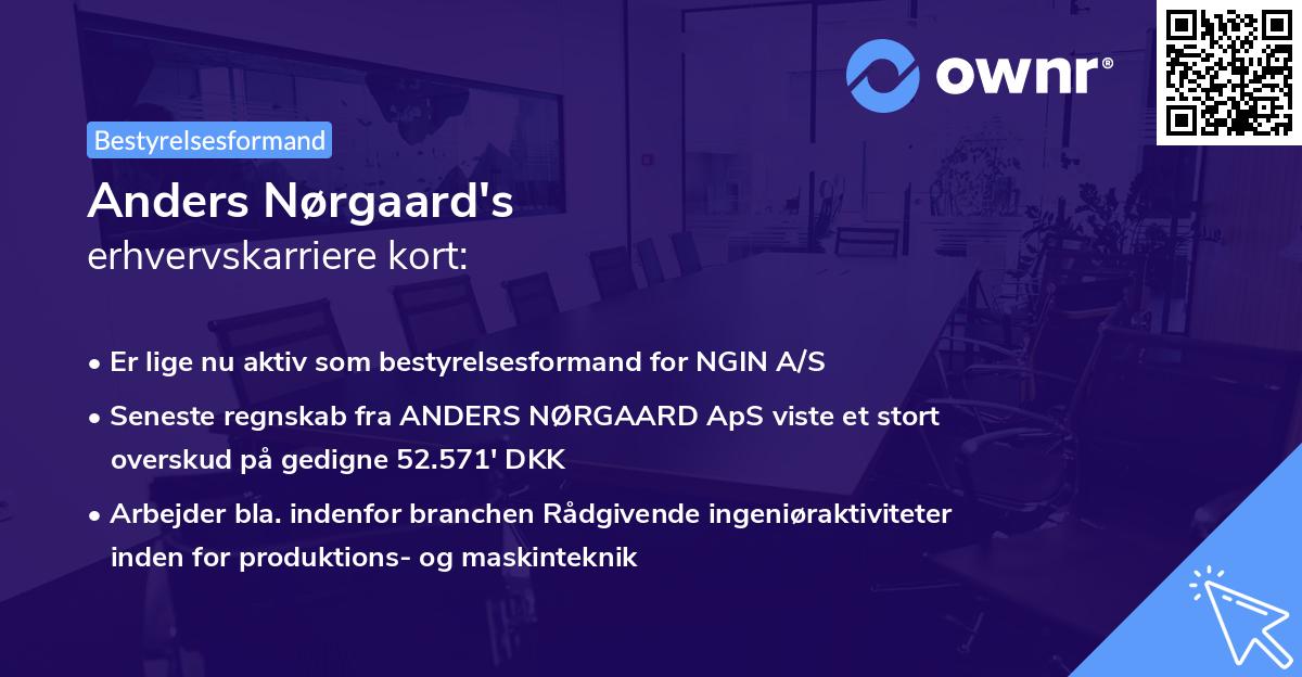 Anders Nørgaard's erhvervskarriere kort