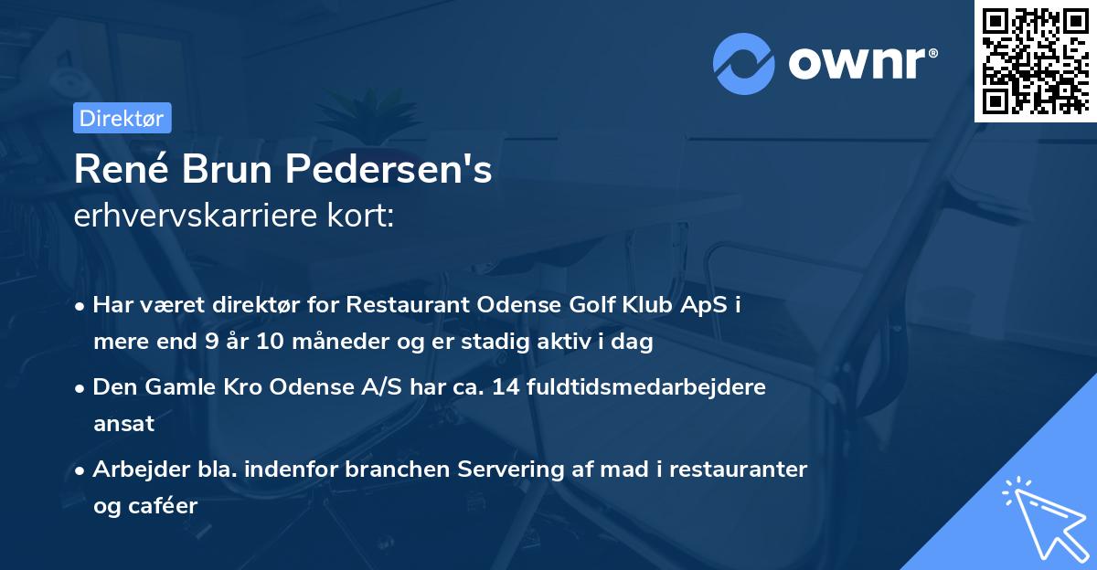 René Brun Pedersen's erhvervskarriere kort