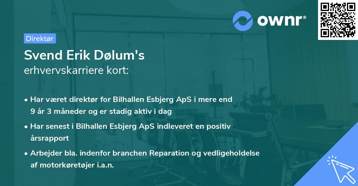Svend Erik Dølum's erhvervskarriere kort