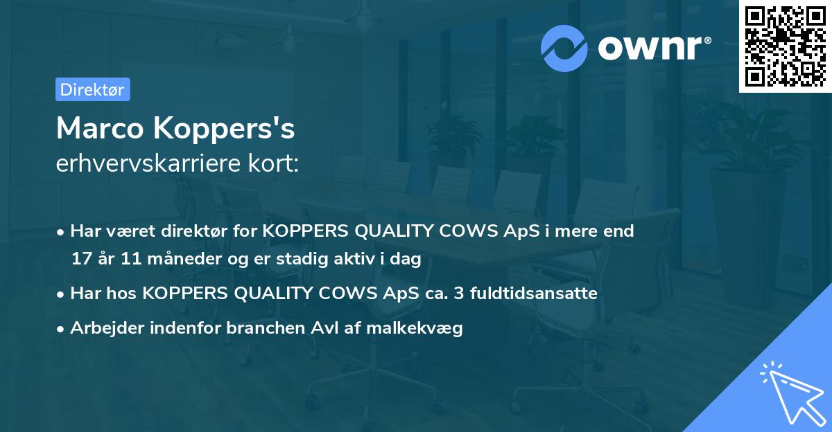 Marco Koppers's erhvervskarriere kort