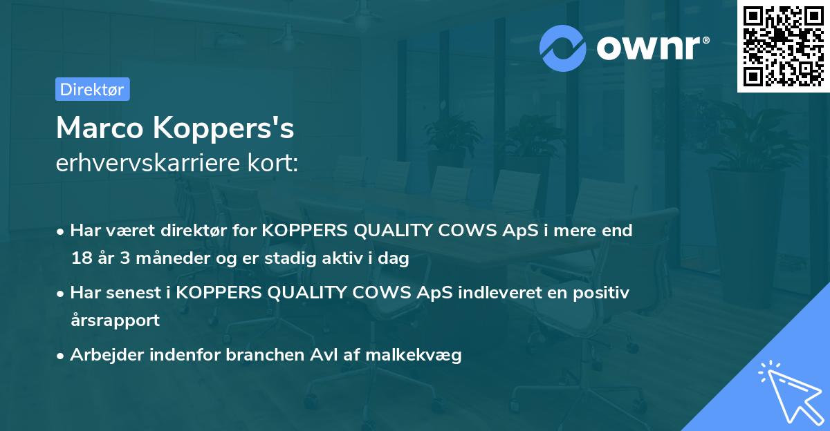 Marco Koppers's erhvervskarriere kort
