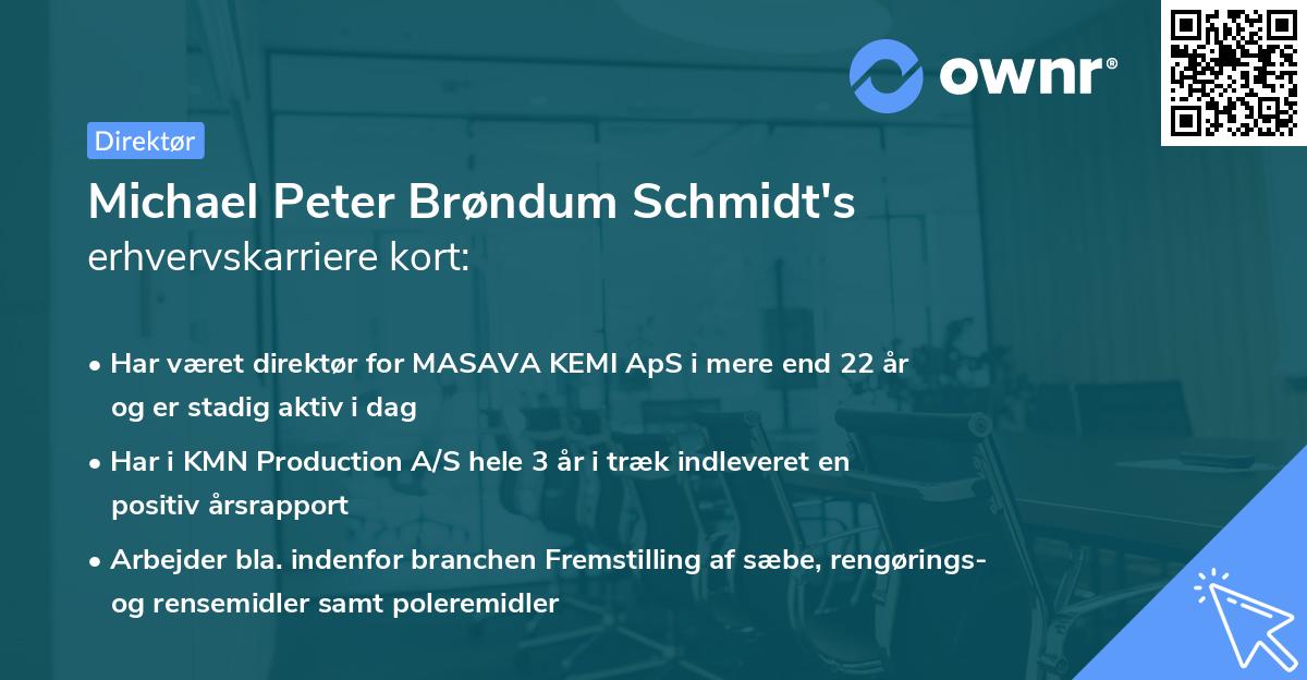 Michael Peter Brøndum Schmidt's erhvervskarriere kort