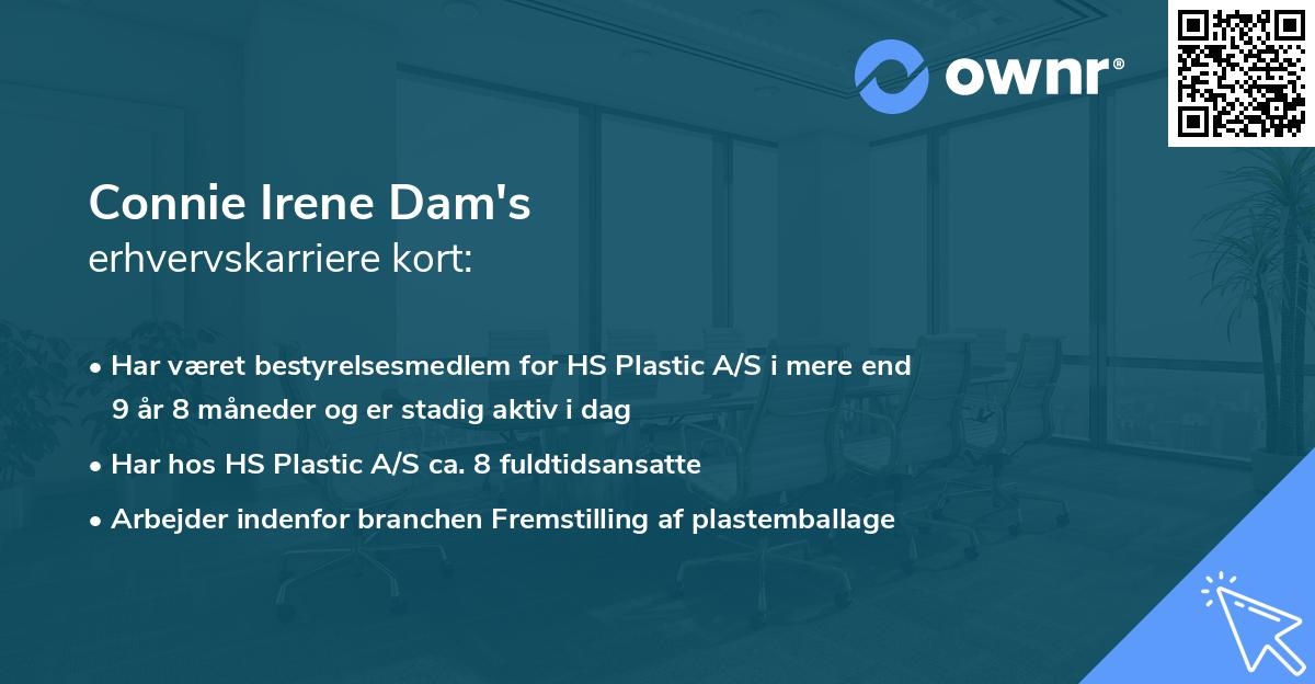 Connie Irene Dam's erhvervskarriere kort