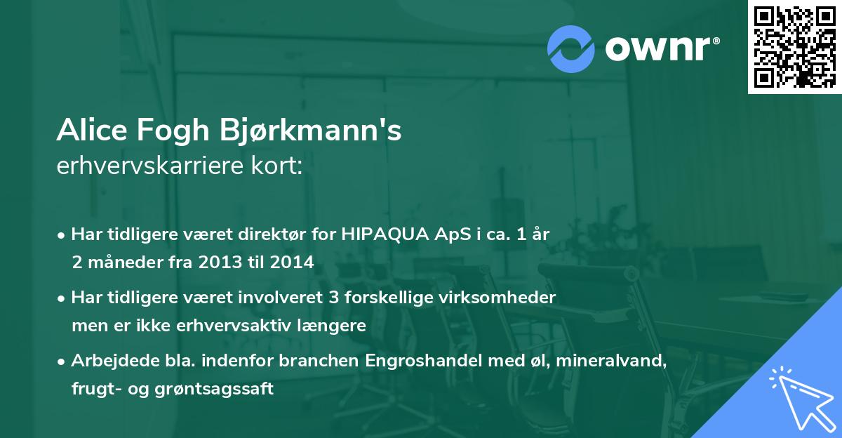 Alice Fogh Bjørkmann's erhvervskarriere kort