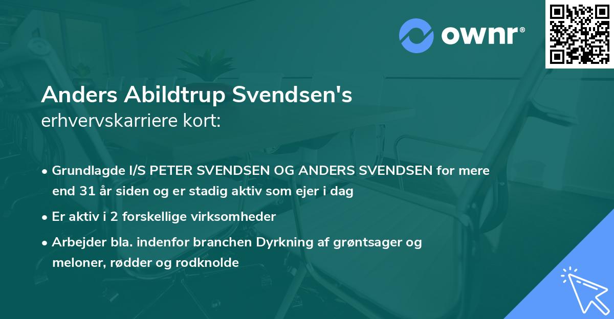 Anders Abildtrup Svendsen's erhvervskarriere kort