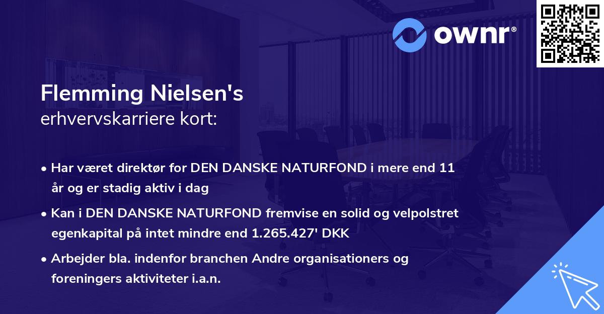 Flemming Nielsen's erhvervskarriere kort