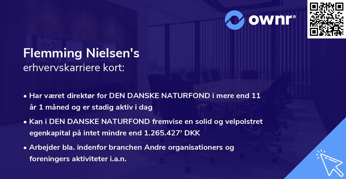 Flemming Nielsen's erhvervskarriere kort