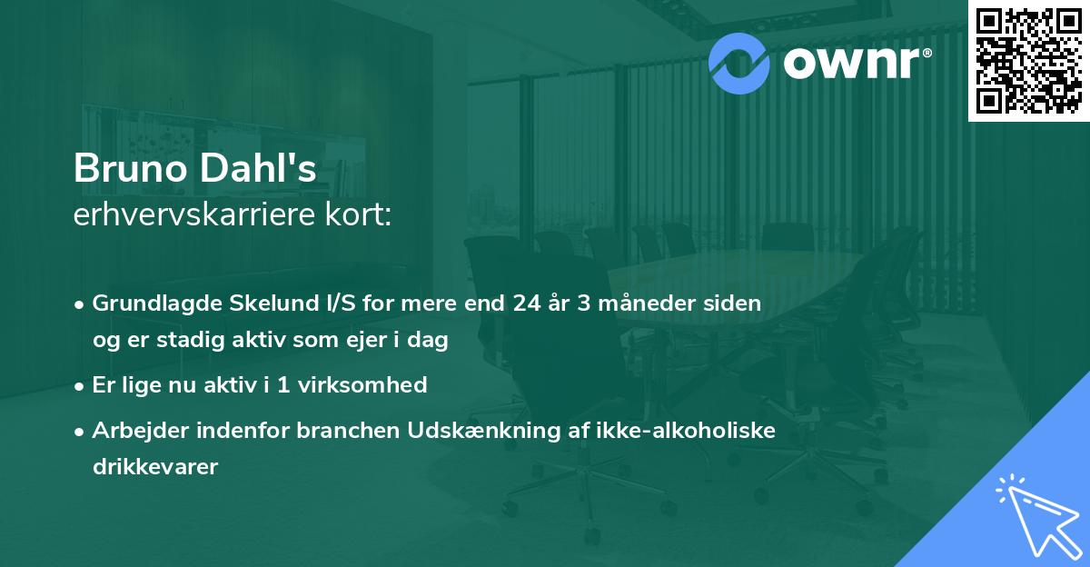 Bruno Dahl's erhvervskarriere kort