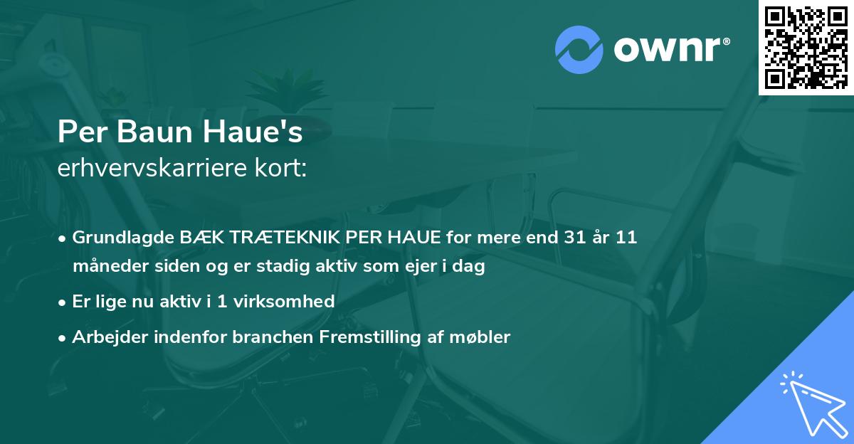 Per Baun Haue's erhvervskarriere kort
