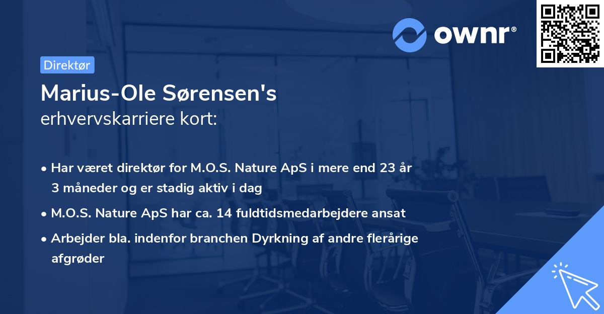 Marius-Ole Sørensen's erhvervskarriere kort