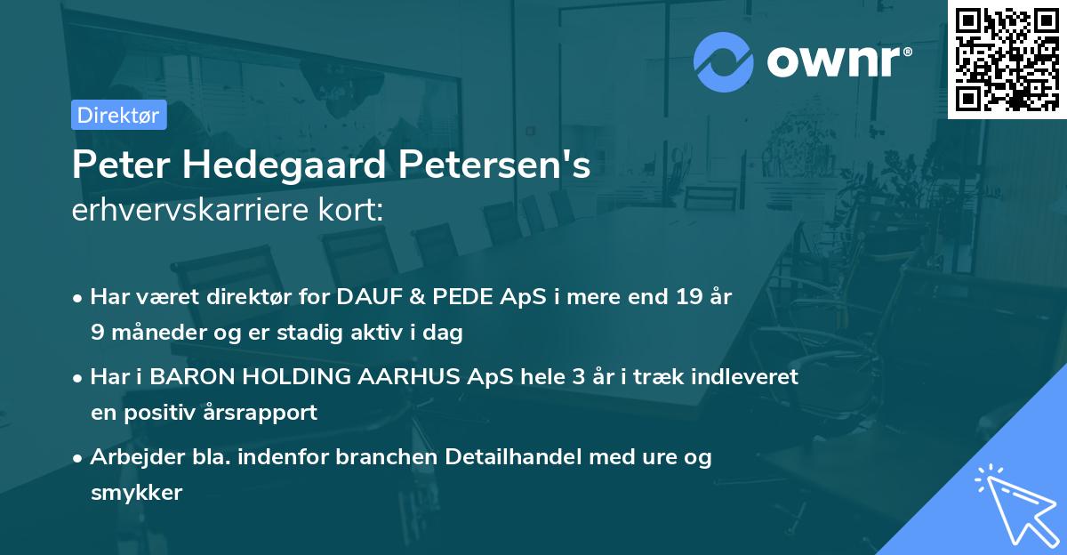 Peter Hedegaard Petersen's erhvervskarriere kort