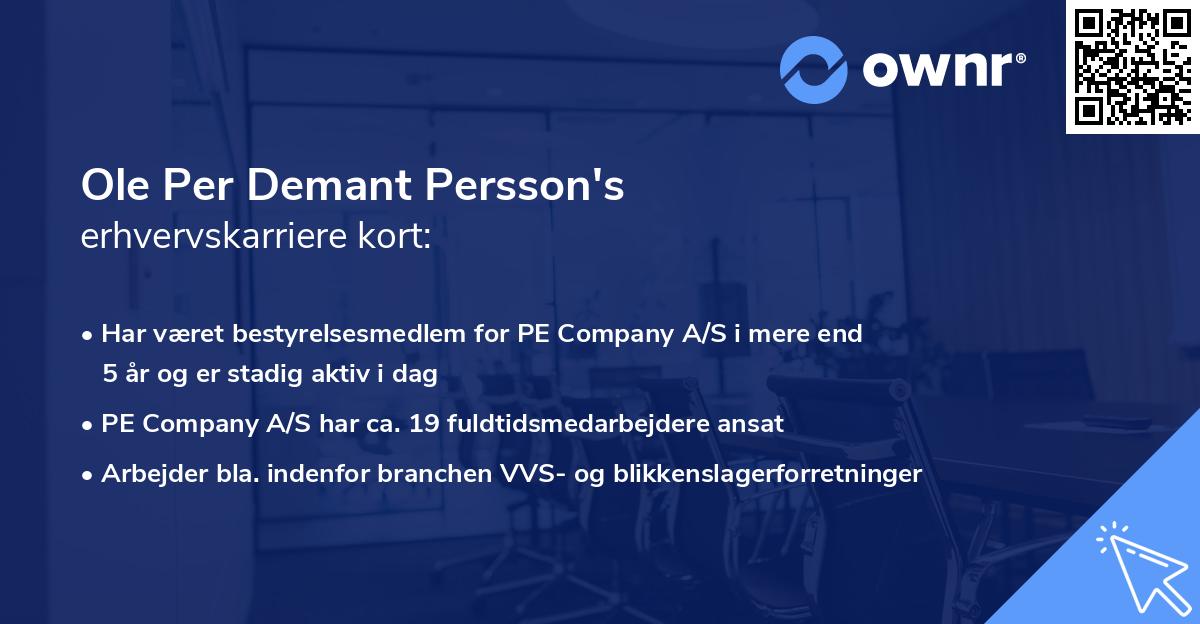 Ole Per Demant Persson's erhvervskarriere kort