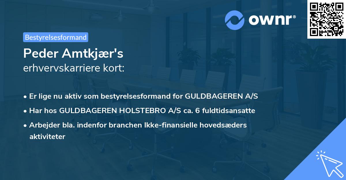 Peder Amtkjær's erhvervskarriere kort