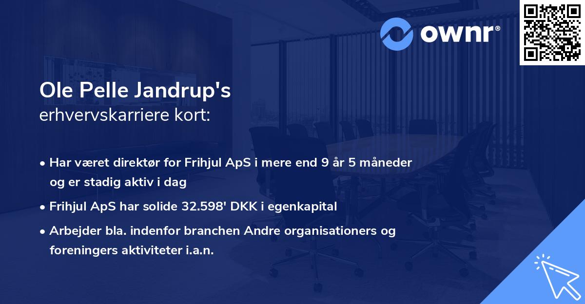 Ole Pelle Jandrup's erhvervskarriere kort
