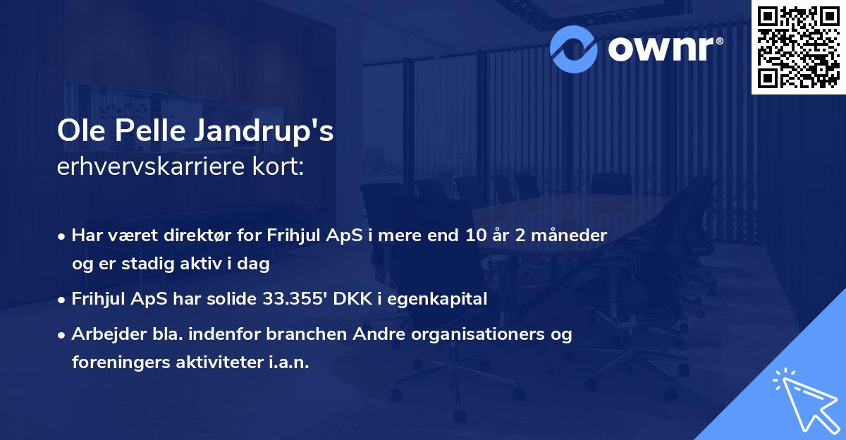 Ole Pelle Jandrup's erhvervskarriere kort