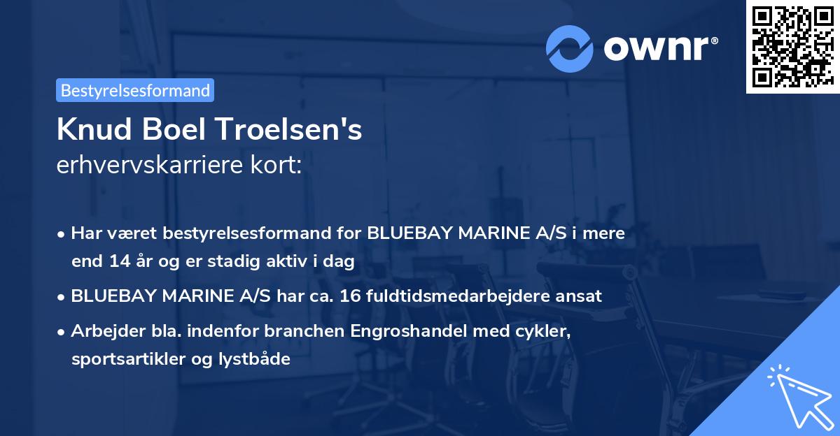 Knud Boel Troelsen's erhvervskarriere kort