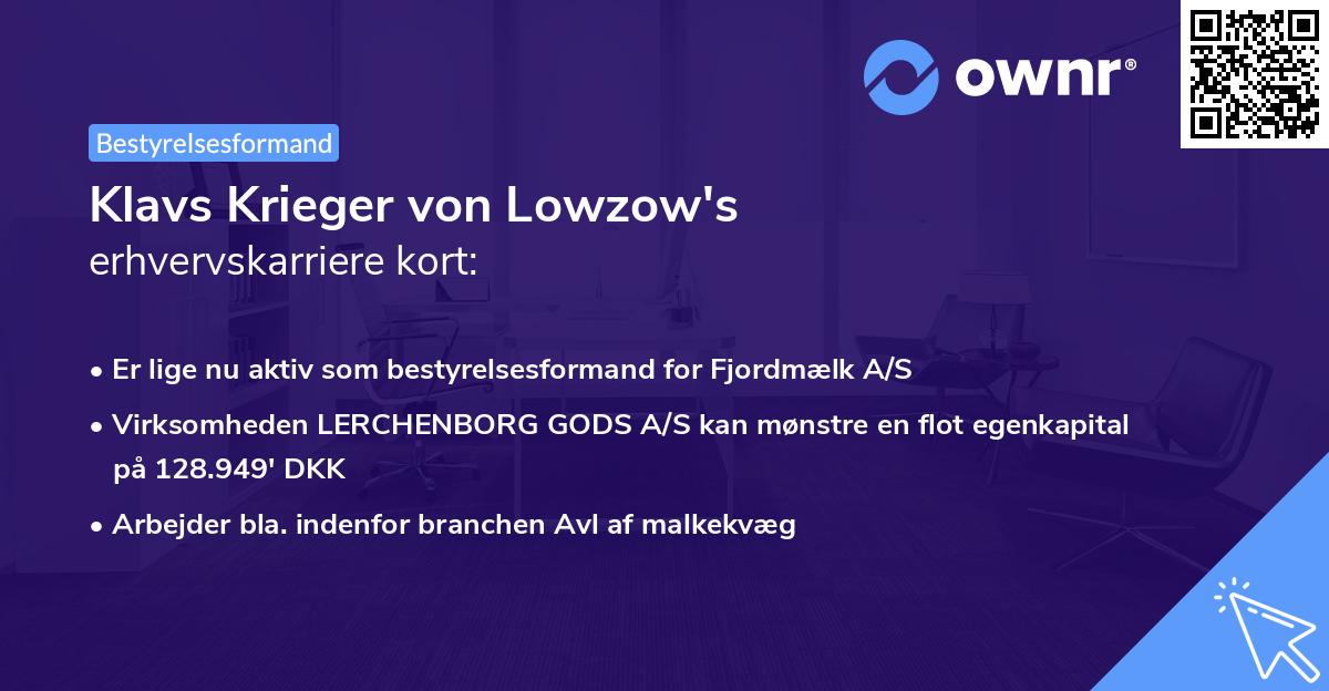 Klavs Krieger von Lowzow's erhvervskarriere kort
