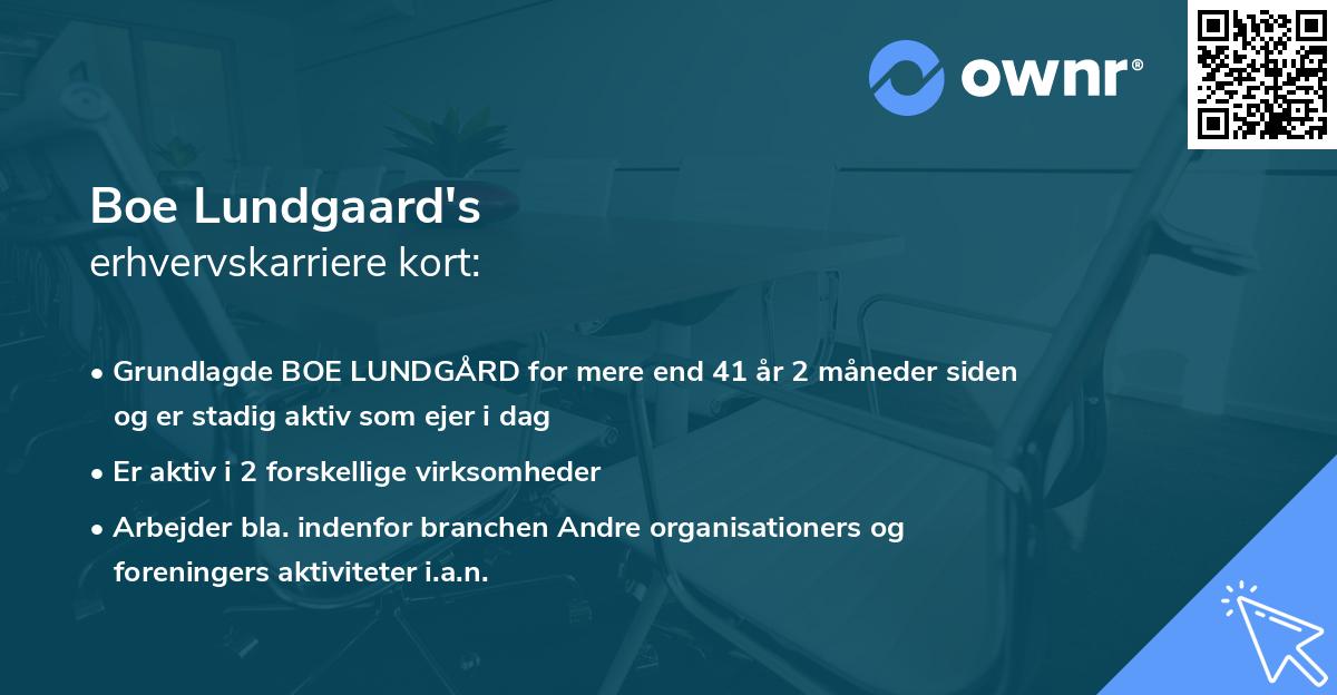 Boe Lundgaard's erhvervskarriere kort