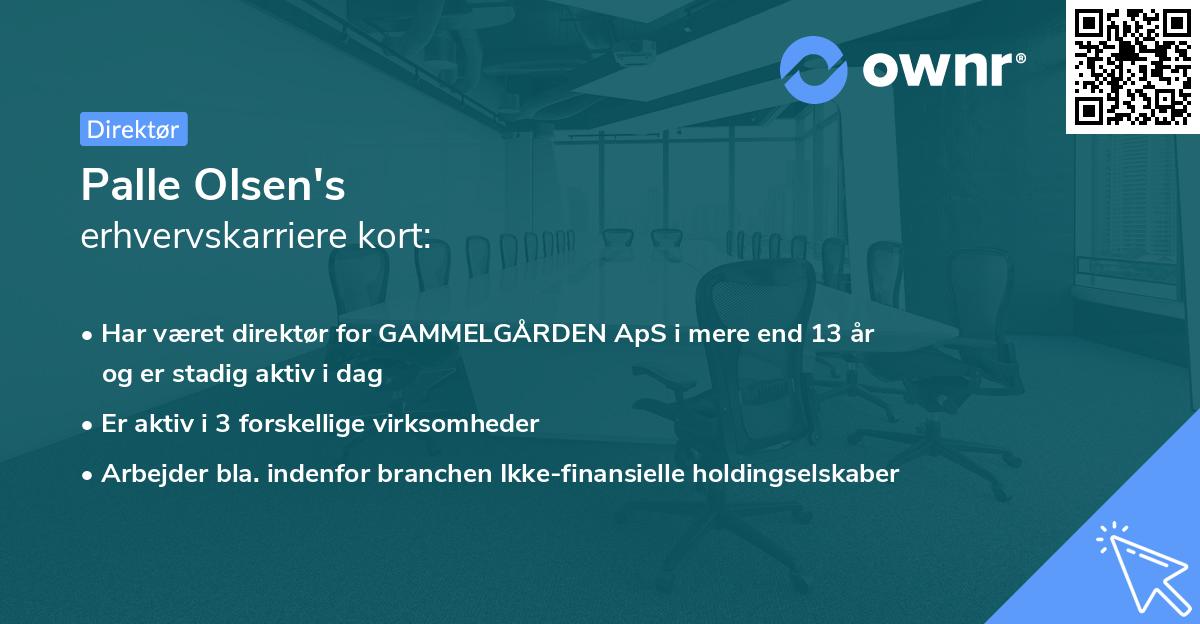 Palle Olsen's erhvervskarriere kort