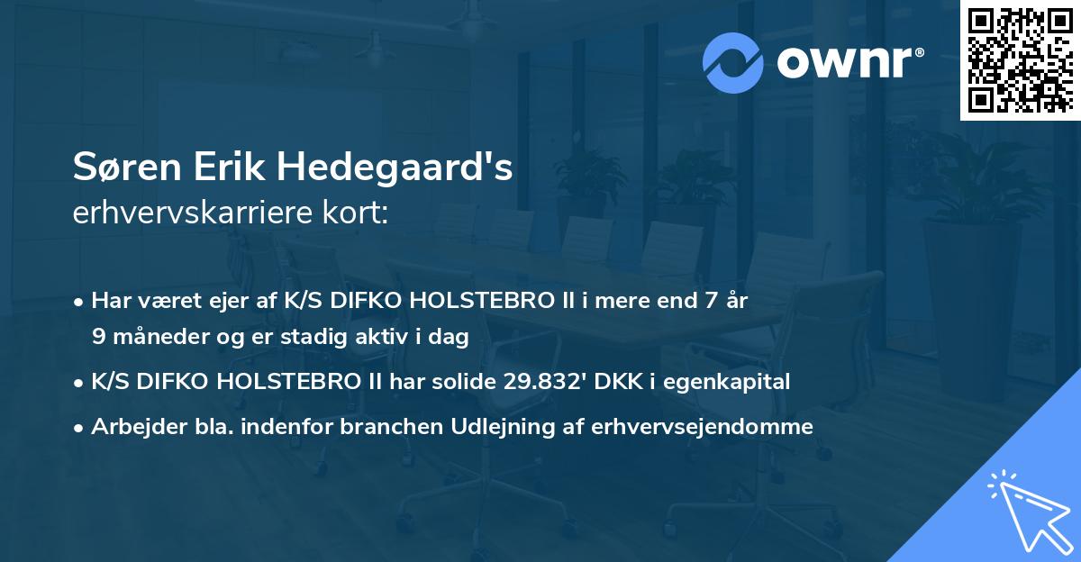 Søren Erik Hedegaard's erhvervskarriere kort