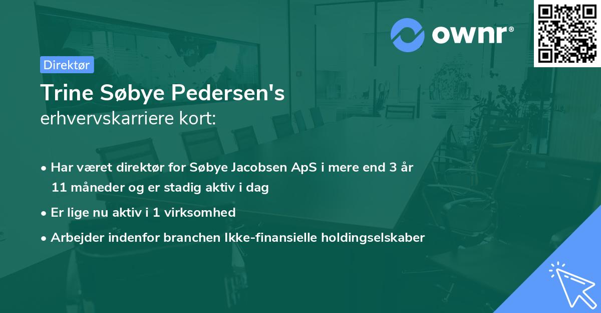 Trine Søbye Pedersen's erhvervskarriere kort