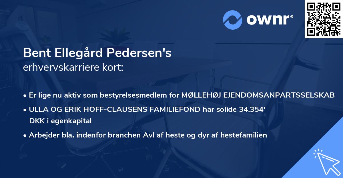 Bent Ellegård Pedersen's erhvervskarriere kort