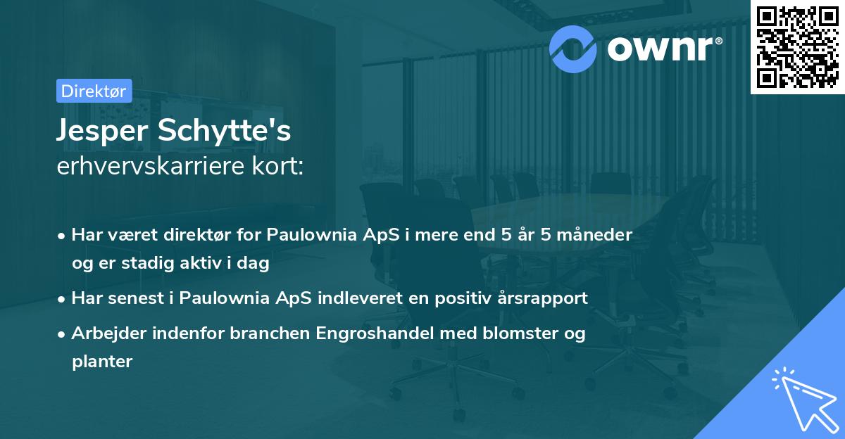 Jesper Schytte's erhvervskarriere kort