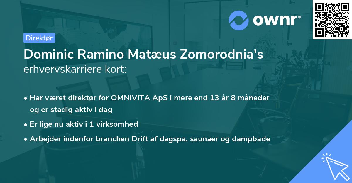 Dominic Ramino Matæus Zomorodnia's erhvervskarriere kort