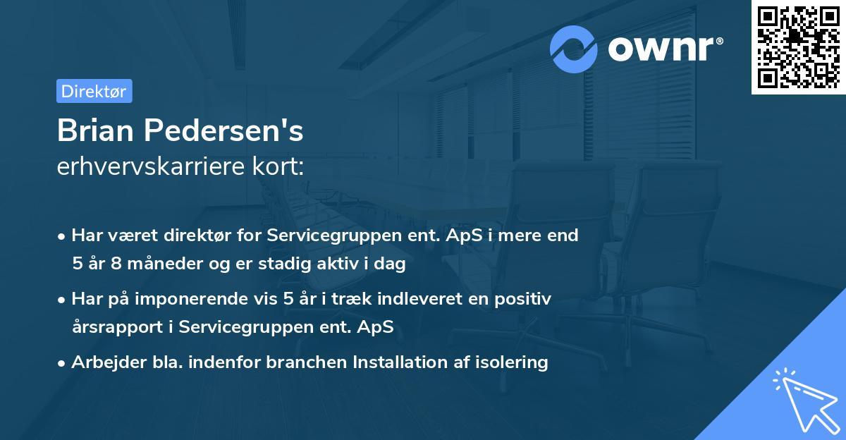 Brian Pedersen's erhvervskarriere kort