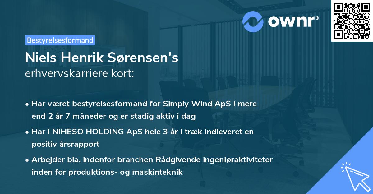 Niels Henrik Sørensen's erhvervskarriere kort
