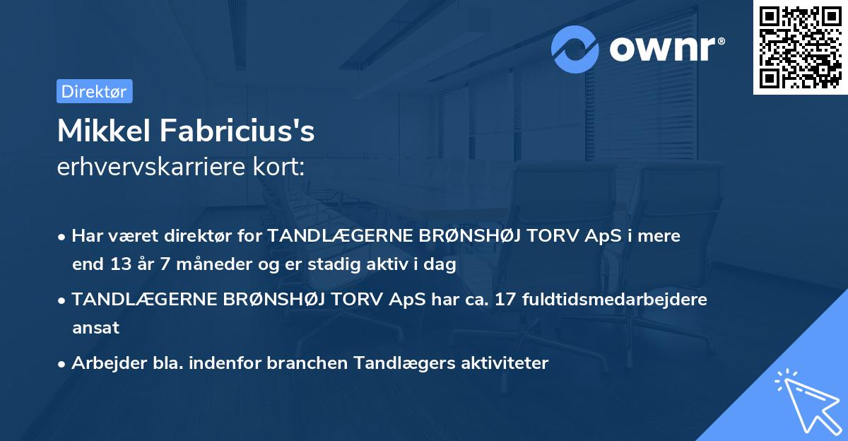 Mikkel Fabricius's erhvervskarriere kort