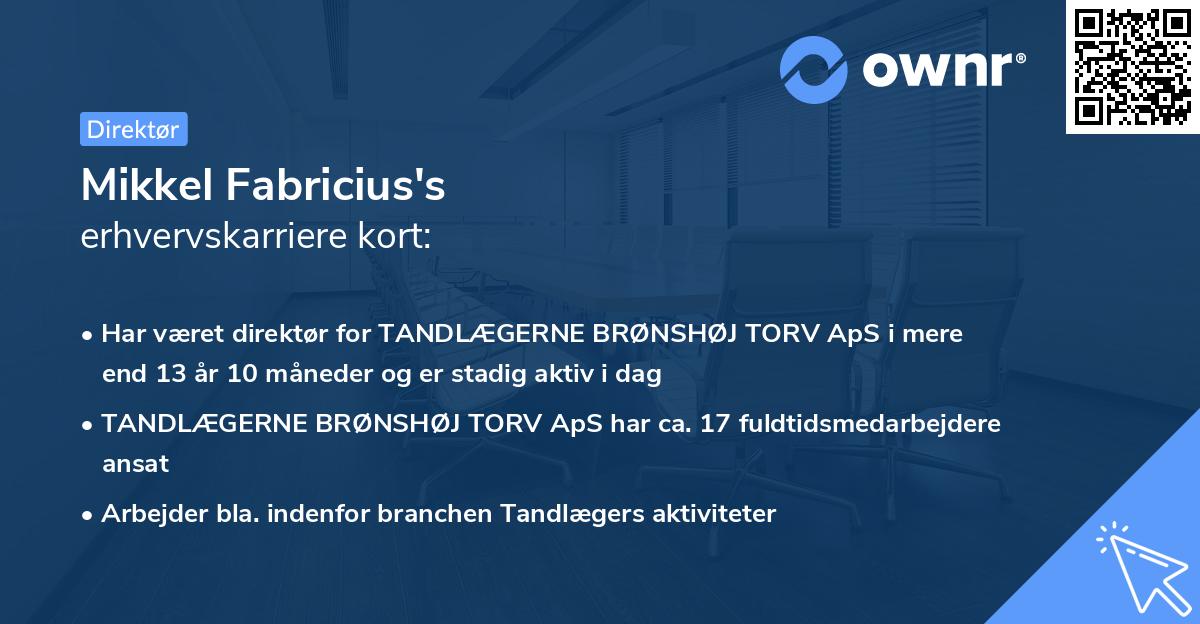 Mikkel Fabricius's erhvervskarriere kort