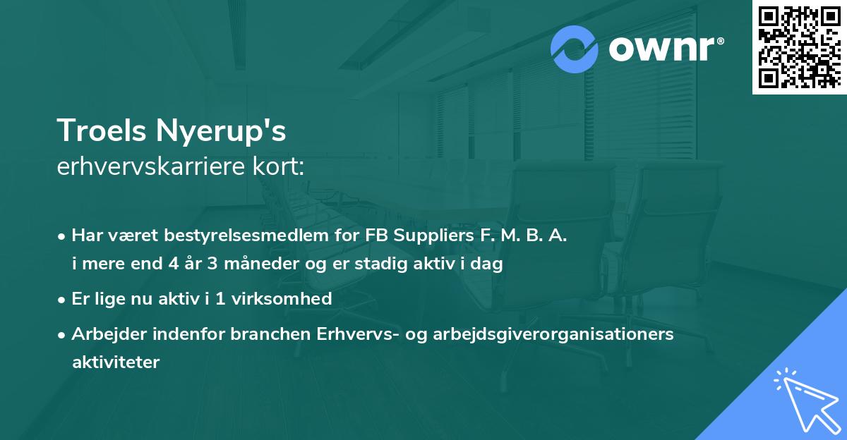 Troels Nyerup's erhvervskarriere kort