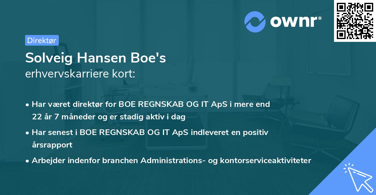 Solveig Hansen Boe's erhvervskarriere kort