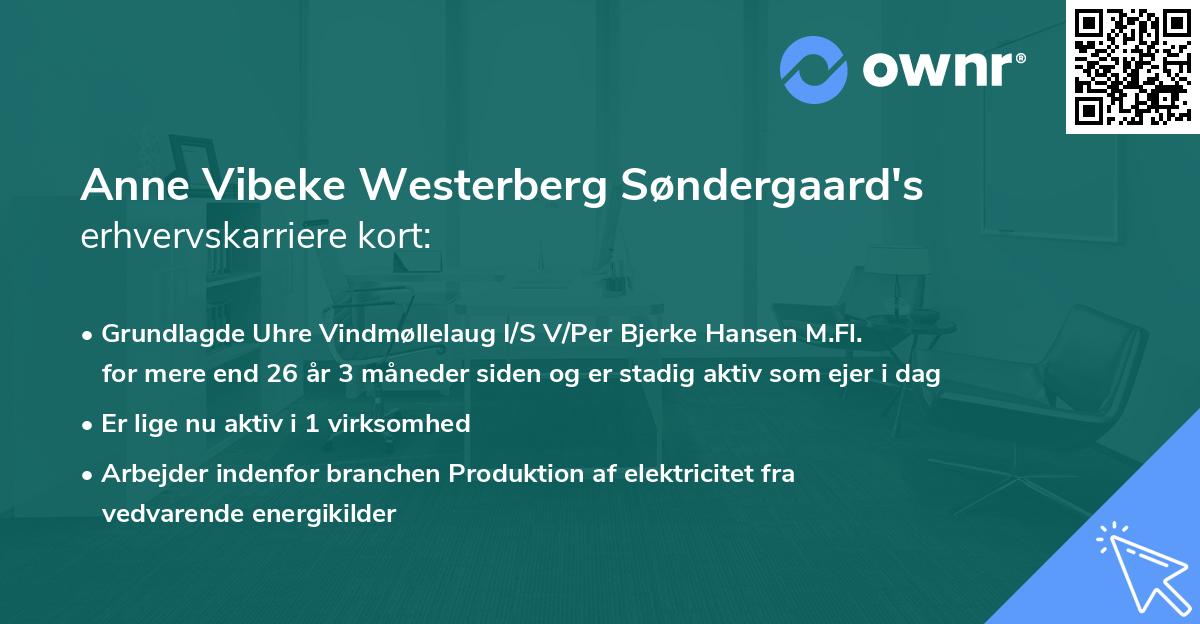 Anne Vibeke Westerberg Søndergaard's erhvervskarriere kort