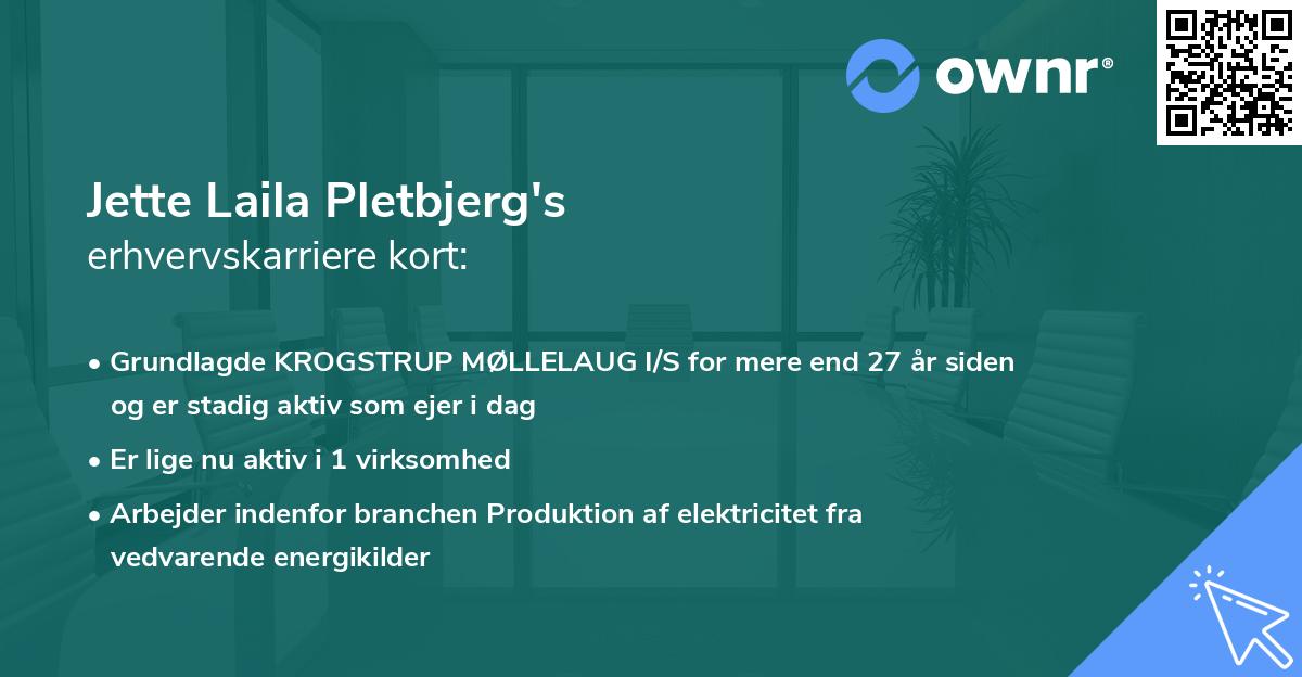 Jette Laila Pletbjerg's erhvervskarriere kort