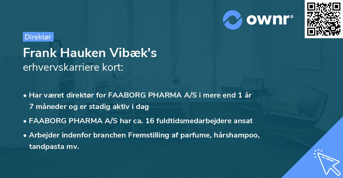 Frank Hauken Vibæk's erhvervskarriere kort