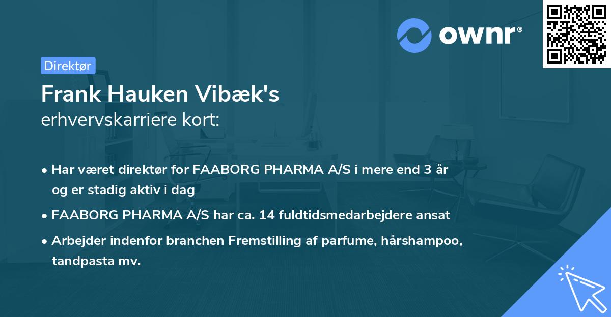 Frank Hauken Vibæk's erhvervskarriere kort