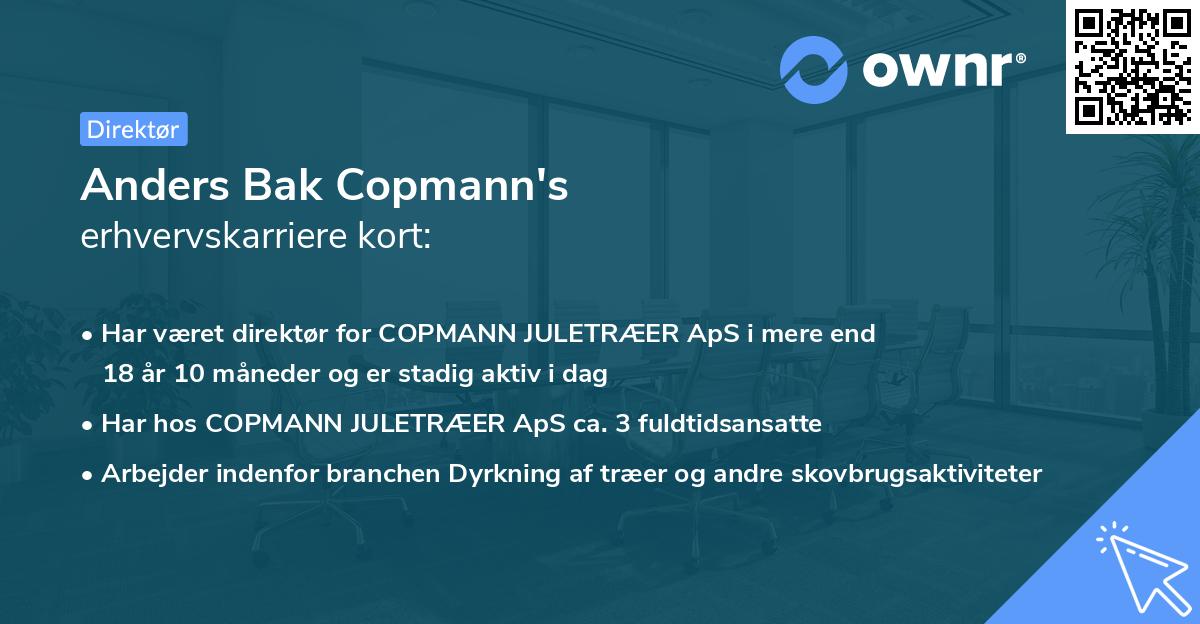 Anders Bak Copmann's erhvervskarriere kort